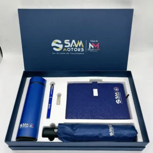 Professional On-the-Go Gift Set: 304 SS Bottle, 16GB Type-C/PC USB, Metal Pen, Automatic Umbrella & A5 Notebook with Box & Bag