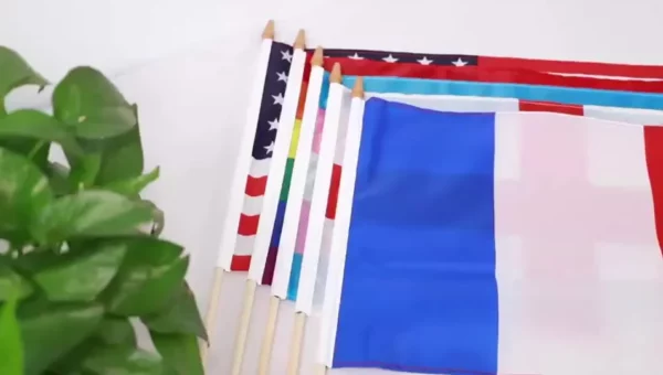 Mini PET Flag - 24x70cm (Durable Material, OPP Bag Packaging) - Image 2