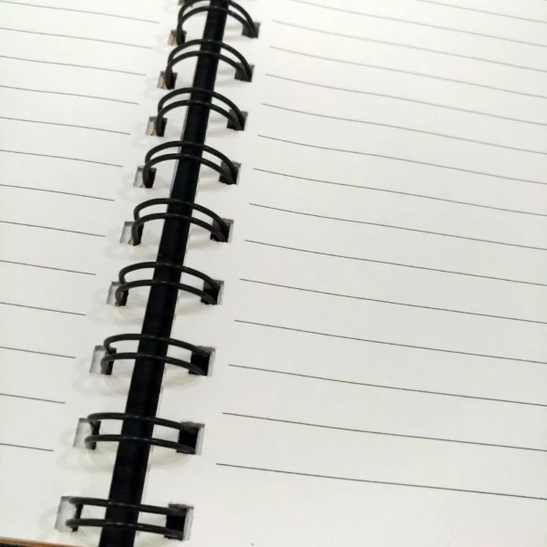 Customized PU Leather Cover Notebook for Promotion GiftsPersonalized Logo & Inner Pages Available, Useful Low Budget Corporate Gift - Image 9