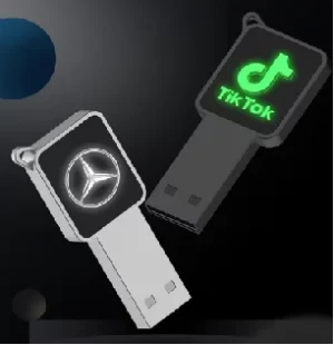 Light up logo 16GB promotional gifts small budget gifts