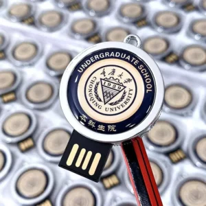 School Logo USB Drive Logo Engraved USB Custom School Logo USB Branded School USB